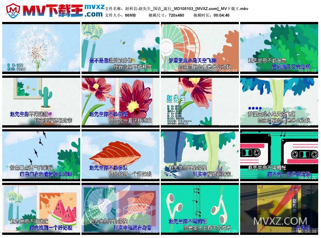 赵科岩-赵先生_国语_流行_MD105103